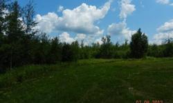 Big Buck territory !!!!!! Property located in Summit township Dairyland Wi..Low Land ,Islands ,Plenty of high ground, Spruce River Flowing Through the property, Level Cabin or camper or parking site, power across Wi. highway 35 ( 3 )16' Heatable tower