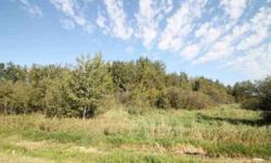 40 Acres of high land, wetland and trees on the edge of St Augusta. This great acreage is on a tar County Road a quick walk to the middle of town and adjacent to a subdivision with city sewer and water. Buy it and build, or as an investment.Listing