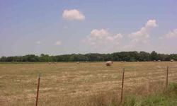 Nice 60 acres of fenced pasture for cattle & hay ground. Hundreds of acres of cropland on one side & hundreds of acres of timber on the other makes a great secluded location & herds of deer & turkey to enjoy. Nice home that was gutted & remodeled. New