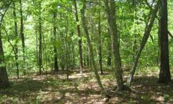 Gorgeous gentle wooded lot with some mountain view.