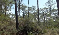 .21ac. lot on ponderosa dr. near the boat ramp in woodlawn beach/midway,gulf breeze. nice quiet secluded lot. no mobile homes, modulars are permitted. waterview? very possible from third floor ph. 334 382 5795 will consider trade.