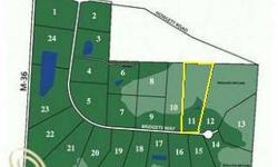 4.88 acre lot in beautiful county setting. Terrain is rolling with a small wooded area near the back. Seller Financing Available