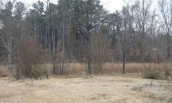 Flat, deep lots on quiet dead end back up to Hornet's Nest Park. Can be purchased separately or combined with adjoining lot, 3648 Trull, for one acre total. $17,500 is per lot. Sewer line at back of lot for easy connection access. Surrounded by newer