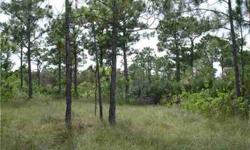 Great opportunity to build your home on this 1.31 acre site close to everything yet nice and quiet. Great lot fantastic price.Listing originally posted at http
