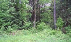 5 NEW YORK COUNTRY ACRES FOR SALE ----- 5+ terrific hill top acres await! This great wooded parcel sits high on a hill at the end of a private dead end road. Filled with a combination of hemlock/pine and hardwood forest, this parcel represents the