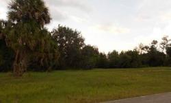 Great wide open lot with golf course frontage already established neighborhood, and homes surrounding this great buildable lot, good property for investment, or buildable site for your Florida dream home. Follow driving directions, easy to find.Listing