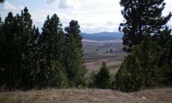 Located four miles southwest of Worley, Idaho, this 22 acre parcel has a 5 acre Quarry site. The property Is surveyed as well as the access road to the site. Property is located on a high ridge with regional views and is suited for a home site as well as