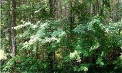 Prime wooded lot in desireable Shamong is ready for the home of your dreams. This lot is approved by the township and by Pinelands. We have a packette with all of the details that we would be glad to share with you and your buyer. Home backs to the
