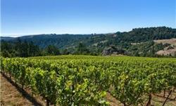 This 21+/- acre vineyard estate parcel has panoramic hilltop views looking South & West to the Sonoma Coast. 5.68+/- acres are planted to very high quality Pinot Noir under contract to Williams-Selyem & bottled as a Vineyard Designate. There is estimated