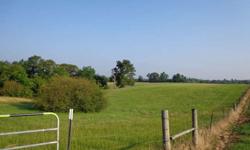 Beautiful rolling hills north of Poplarville, located off Springhill Rd. Property is completely fenced pasture with a small section that is wooded that leads into a pond. Perfect for a custom-built home and space for horses or cows.
Listing originally