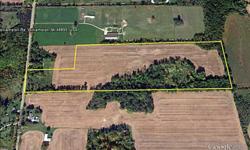 Beautiful property in Williamston, Michigan. 34.65 acres on Williamston Road just 2 miles north of downtown Williamston. The property features 12 acres of woods and 22.65 acres of tillable farm land. This is a perfect spot for your new home and hobby