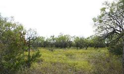 160 ACRES SOUTH TAYLOR COUNTY Prime piece of property near the great community of Happy Valley just west of Bradshaw, Texas and less than two miles to Highway 277 South out of Abilene, TX. Perfect livestock, equestrian, hunting or new homesite enjoyment.