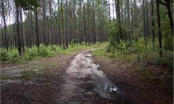Known as the Rouse Tract92.3 ac in Allendale County S.C on Hwy 3 about 10 miles north of Estill S.C.Most of the timber land has been replanted ( 3yr.)There are 6 paper mills within 100 miles.Charlie Byers 843.812.8631Rema@Islc.netListing originally posted