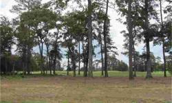Beautiful lot located in desirable & prestigious Augusta Pines...come & build your dream home & enjoy life is the great gated section of Augusta Pines-The Creeks!!Enjoy & use the 30' easement access to the golf course from the lot.Awesome development
