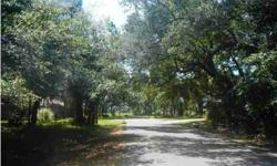 Beautiful corner lot with oaks and palms. Wow.. Marsh View! Lined with oaks, Minutes to beach... Beautiful corner lot! Enjoy the sea breezes and marsh views. On small island before Folly. Great neighborhood!!!Lot has been cleared and ready for you to