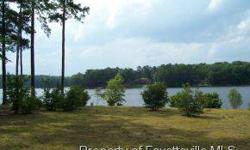 -Beautiful Waterfront lot with 180 degree of views of Lake Trace! Lot mostly open and ready for a nice lakefront home with your own dock and boat. Hidden Lake Marina right around the corner. Build now or later with one of the nicest waterfront lots