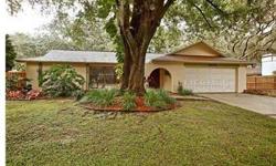A Jewel with a POOL! Located in quiet sought after neighborhood of Lithia Oaks in Valrico. Great oaks shadow this 4 BR, 2 BA, 2 car garage home situated on a large lot. Kitchen features new counter tops, new dishwasher and disposal. The dinette and kitch