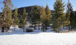 INCREDIBLE OPPORTUNITY to buy a piece of land under 200,000 in exclusive subdivision. Incredible views to the Ten Mile Range. Across the street from the Breckenridge Golf Course and Nordic Center, flat buildable lot, natural gas available, well and
