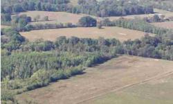 River bottom farm with double wide home. Lots of river frontage, road frontage, some timber. Approximately 35 acres in cultivation.
Listing originally posted at http