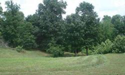 Premier riverfront lot located in Clifton, Tn. 1.72+/- acres with paved roads, end of cove in well established neighborhood, city water, sewer, natural gas. Rip rapped, you can walk to the beautiful Tennessee River. Views are spectacular!
Listing