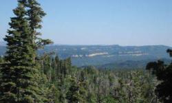 .55 acre Navajo Lake Estates lot with nice views to the south, mature trees. Owner AgentListing originally posted at http