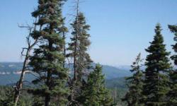 .53 acre Navajo Lake Estates lot with a southern slope located on a cul-de-sac, a very peaceful setting for your summer get-away. Owner AgentListing originally posted at http