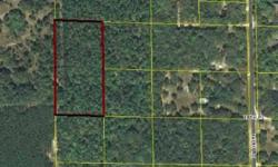 Nicely wooded 5.49 acres MOL in Hidden Oaks s/d not far out of Live Oak. Access by private easement, very secluded. Priced way below similar properties in the same area! Property is directly adjacent to MLS#69058Listing originally posted at http
