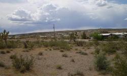 READY TO BUILD CORNER LOT WITH WATER/UTILITIES. NEARLY HALF AN ACRE WITH SCENIC VIEWS OF MOUNTAINS AND LAKE MEADE. MEADVIEW, AZ IS A SMALL COMMUNITY WITH LOTS OF RECREATIONAL ACTIVITIES INCLUDING BOATING, FISHING, MOUNTAIN HIKES, WATER SKIING, AND IT'S