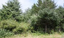 SECLUDED 10,776 SQ FT LOT WAITING FOR AN OWNER~PROPERTY LOCATED NEAR GRADE SCHOOL~DIMENSIONS ARE 72 FT OF ROAD ACCESS, 119 FT DEEP AND 113 FT AT BACK BOARDER~THIS WILL PROVIDE PLENTY OF ROOM TO BUILD A LARGE HOME, VACATION CABIN OR USE AS AN RV VACATION