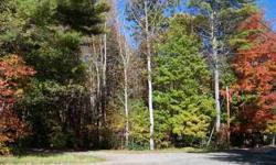 CLOSE TO LAKE, NATIONAL FOREST, HAS ELECTRIC & WATER AT ROAD AND ON CORNER LOT! This property has lots of trees, level land, best economically building site with lots of road frontage on two sides (corner lot) and already has water and electric at road,