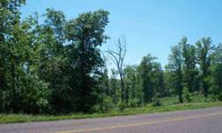 Highway frontage with great building sites for your new home or lake cabin within 3 miles of Norfork Lake. Land is surveyed and ready to go. More land available. Lots of wildlife and close to rivers and lakes.
Listing originally posted at http