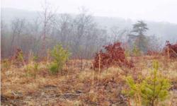 Beautiful mountain development off Hwy 111. Conveniently location 30 minutes from Chattanooga. Large 5+ acre tract with views, wildlife and privacy.
Listing originally posted at http