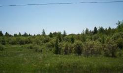 20 acres adjacent to US 2 with electric available. Property is a mix of high and low lands. Not looking to spend a fortune? Want more elbow room than just a lot? Check this 20 acre parcel out!
Listing originally posted at http