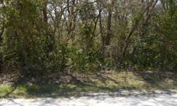 OWNER FINANCING AVAILABLE! High & Dry, Nice building lot on 1.17 acre (mol) in homes only area of Ridge Manor Estates. Secluded quiet area great for investment or to build your home in paradise, Close to the Withlacoochee River, Croom riding trails, state