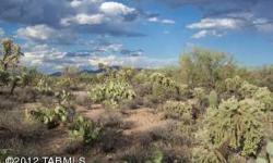 Serene and private 2.39 acres of beautiful, rolling desert, lush vegetation and saguaros, fifteen minimum. NW of Catalina in fast growing Pinal County. Oh, did I mention the incredible sunrises and sunsets? Adjacent 4.89AC and 2.5AC also available.