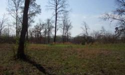 Level lot. Some cleared, some wooded. Has views of lake and mountains. Unrestricted. Public water at road.