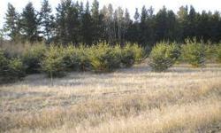 Dont' miss out on these wooded building lots only minutes from Bemidji. Lots of wild life. Building packages available.Listing originally posted at http