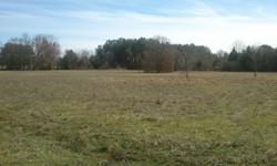 Have 3 over an acre each lots for sale. All are 360 ft. deep. Sandy loam soil, great for a garden or fantastic landscaping. Excellent drainage. NORTH LAMAR.ISD, TXU, COUNTY WATER SUPPLY. ALL UTILITIES ON SITE. NO MOBILE HOMES. Low property taxes.