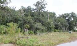 Great value on a Bank-Owned lot in the gated community of Serengeti.Lot is approximately half-acre in size (Buyer is encouraged to verify dimensions). Treed lot backs up to conservation area with water view and lots of privacy. Come build the home of your