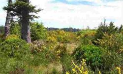20 acres logged about 5 years ago, a lots of young trees. Mostly flat, by the the beach with a paved rd. to prop. edge. Needs county planning approval for dwelling, and perc test. Seller will provide.Listing originally posted at http
