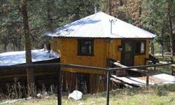 Beautiful Get-A-Way! This cabin in the woods offers uniquely rustic decor with 2585 sq. ft. offering 4 bedrooms, 2 baths, family room in the daylight basement with a door that leads to the 4 acres with creek frontage and pine trees galore. Also included