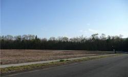 Pine Hollow Estates Lot 14 (1.52 acres). Public water and septic. Ample buildable area. Mature treed wetland area at far rear of parcel. Sandy soil perfect for septic systems!
Listing originally posted at http