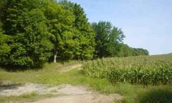 80 acres. Approximately 12 acres of mature red pines,21 acres of mature maples,23 acres immature hardwoods and 34 acres of field. This is a great piece of property for a vacation/retirement home or for hunting. Deer, turkey, rabbits abound on the property