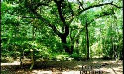 5 acre estate lot located next to Coosaw Point. Tall strands of Sweet Gum and White Oak mixed with Palmetto and Live Oak make this among the rarest of Beaufort properties. Conveniently locat4d minutes from town on a county road. Pond site included. For