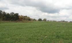 Up to 65 Acres of gently rolling pastures with fencing, municipal water, old barn and loads of frontage on both sides of L.W. Neal Rd. Old home site with utilities still in place. Seller will consider divisions. Call The Hishmeh Team for details