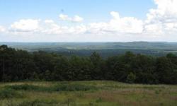 Breathtaking views from this property located near Birmingham! No need to buy/rent property in NC! You know the saying, that it's Location, location, location.. This land is a rare find! 15.3 M/L on top of Straight Mountain in Springville. There is so