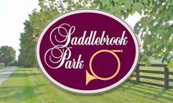 Stunning estate sized lot in the prestigious Saddlebrook Park subdivision! This lot backs up to open space for extra privacy. Saddlebrook Park has only 30 select homesites on over 163 acres. Stately Kentucky 4 board fencing, mowed walking and riding