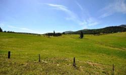 50+ acres in the extraordinary Potomac Valley! This is a rare opportunity to own a piece of Montana paradise. The property includes views from atop a level,wooded building site, acres of beautifully timbered land, and a gorgeous meadow that has been