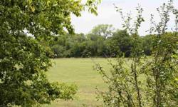 Amazing 60+ acres in desirable Blue Ridge ISD. Beautiful acreage with many trees and a creek come to the country and build your dream home where there is lots of room to spread out and enjoy. Approximately 426 ft of road frontage on CR 630.Listing
