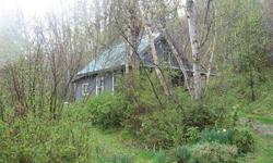Cabin, guest cabin, travel trailer, gardens, fruit trees, berries, hiking trails & more. Fully self-sufficient living with primary frontage on the Pend Oreille River. Spring water, dug well, electricity, propane & generator backup, wood stove and TOTAL